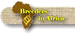 Breeders in Africa 