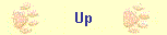 Up