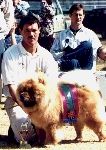 Trishca Rustydragonwack "Rusty" - Chow-Chow Championship Show 1999, Best Puppy in Show